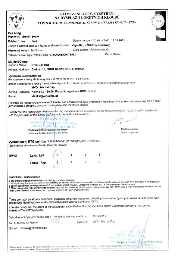 osteoartroza protocol verificare articulatii